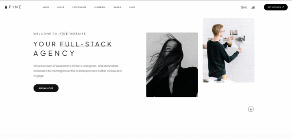 Pine - Creative Agency & Portfolio WordPress Theme